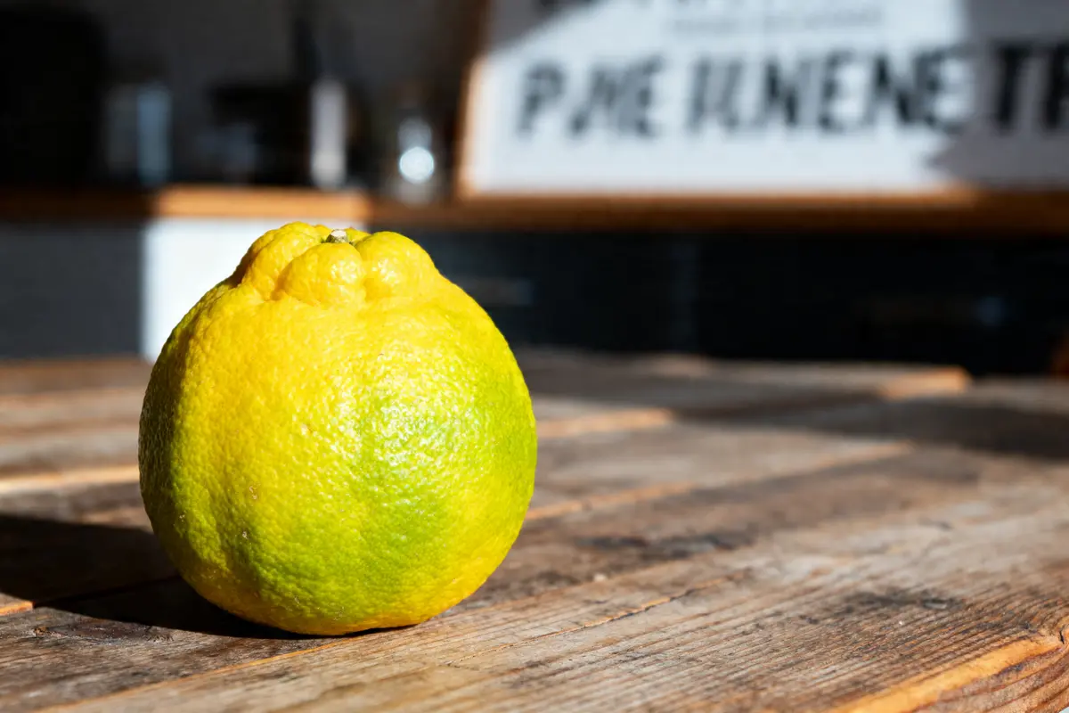 Fruit en y : la liste complète à découvrir