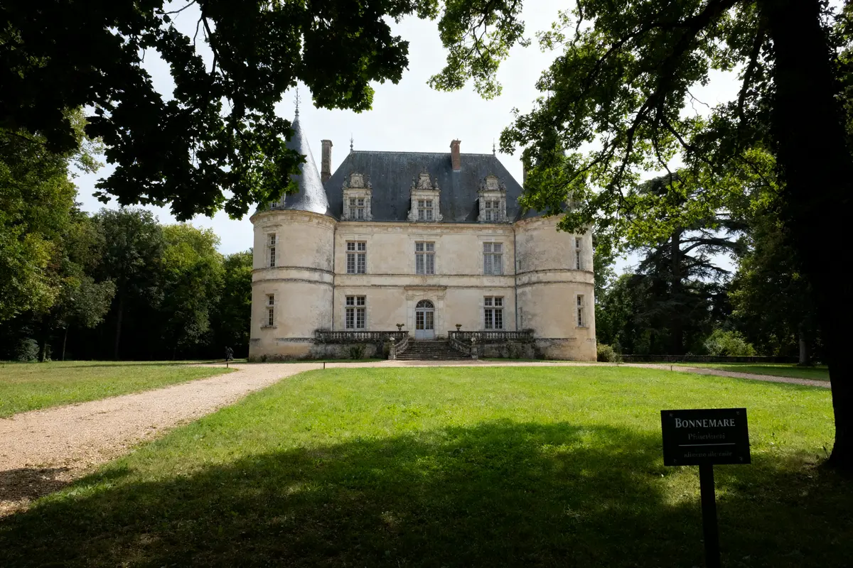 Château au centre d'un parc verdoyant avec allée et arbres encadrant la vue.